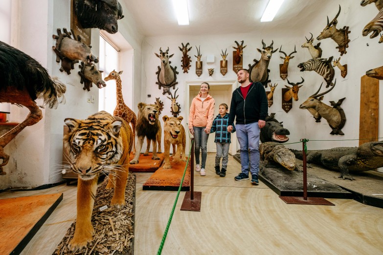 Zoologický depozitář láká zejména děti. Foto Pavel Rybníček.