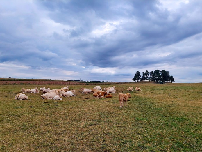 Krajina Třebíčska