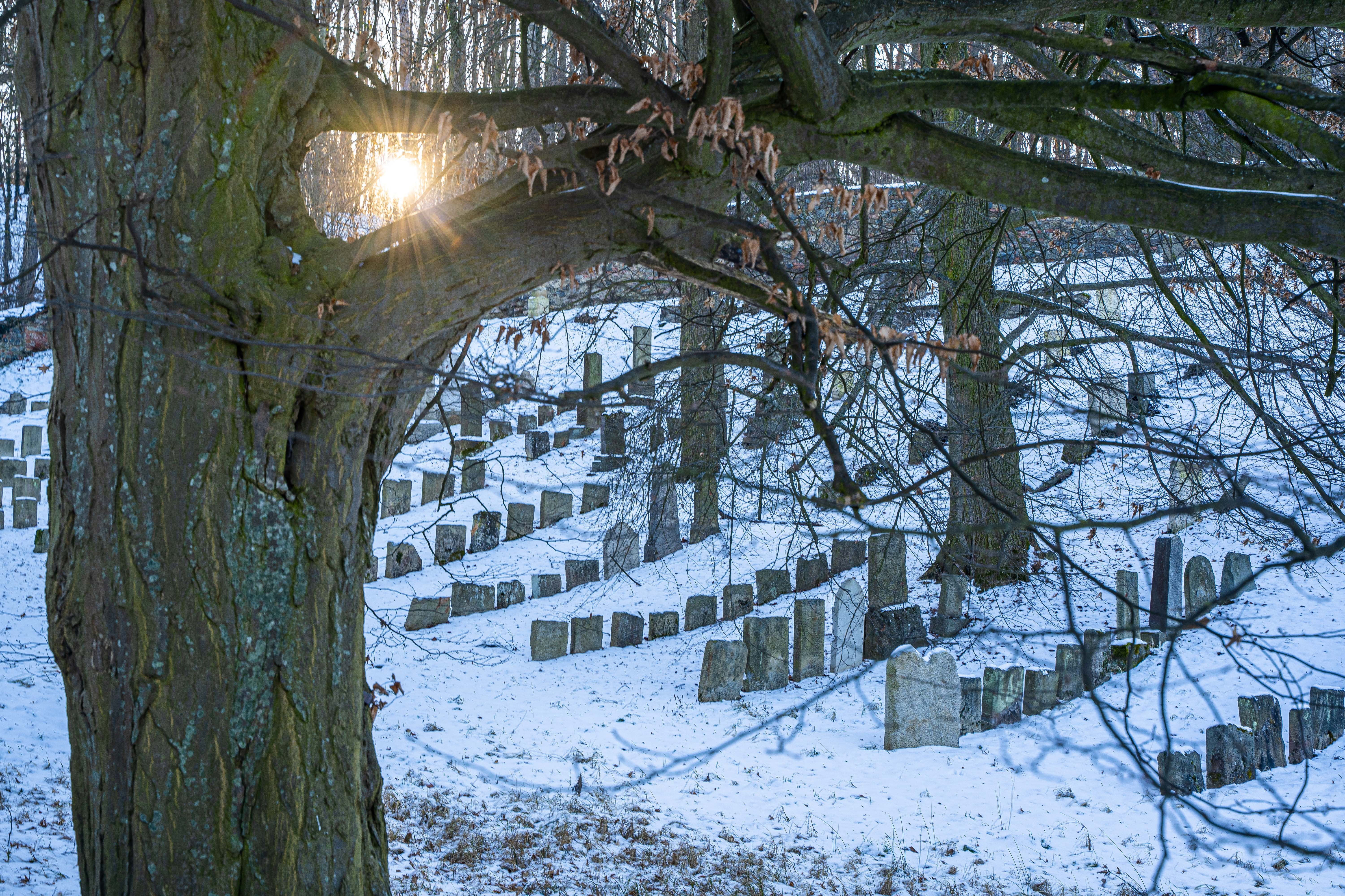 Židovský hřbitov v Jemnici patří k nejstarším na našem území. Židovský hřbitov v Jemnici patří k nejstarším na našem území.
