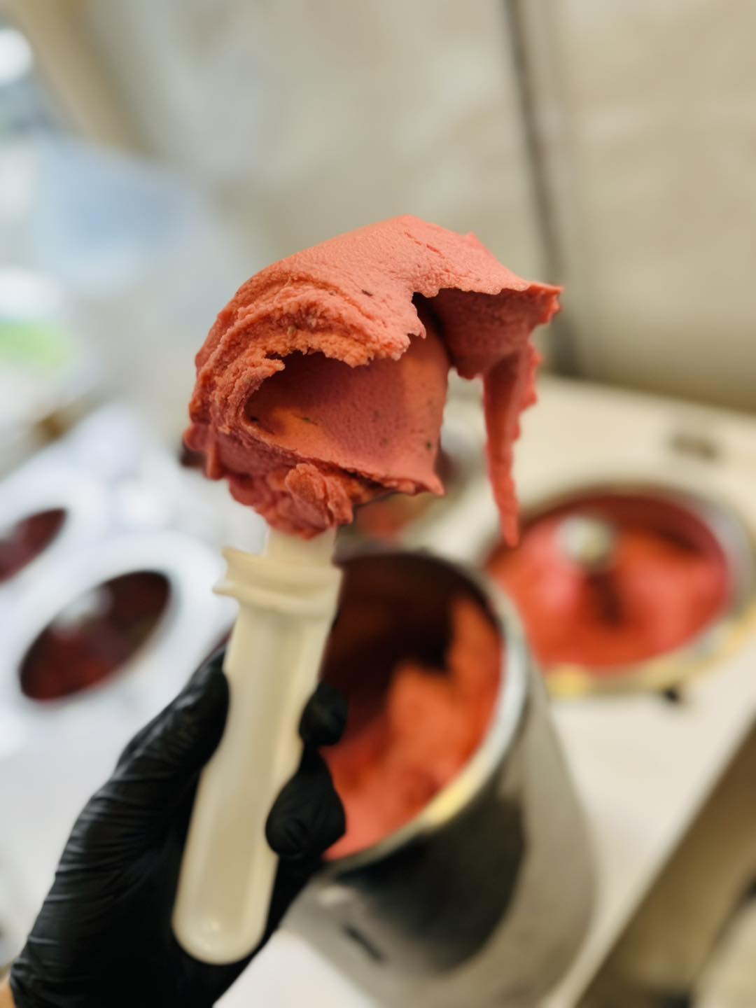 V Adam´s bistro&baru v Třebíči zažijete jedinečnou gastronomii, ale také vyrábí skvělé zmrzliny. V Adam´s bistro&baru v Třebíči zažijete jedinečnou gastronomii, ale také vyrábí skvělé zmrzliny.