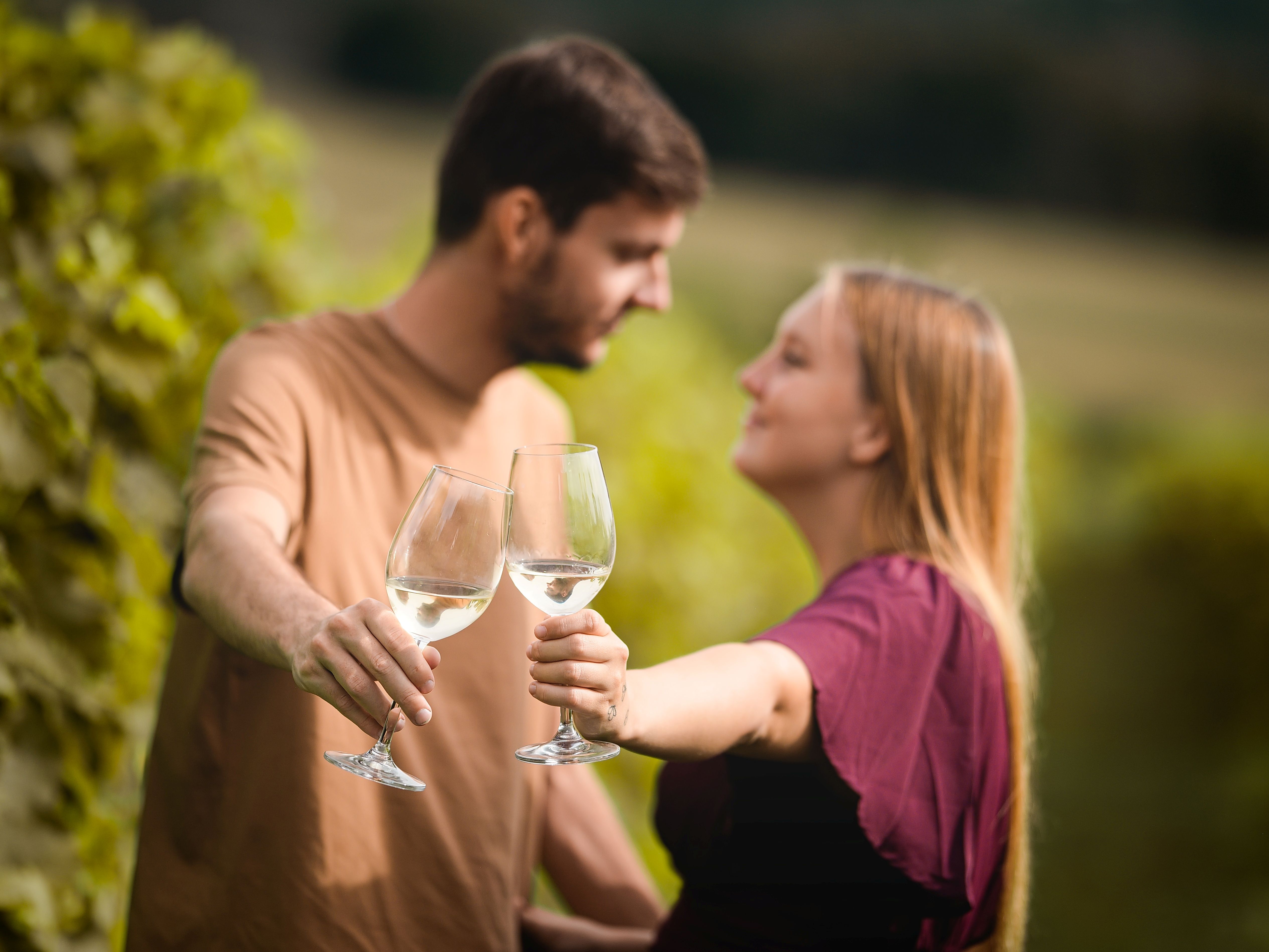 Jediné vinařství na Třebíčsku najdete na Sádku, v Kojeticích. Foto Vít Bláha. Jediné vinařství na Třebíčsku najdete na Sádku, v Kojeticích. Foto Vít Bláha.