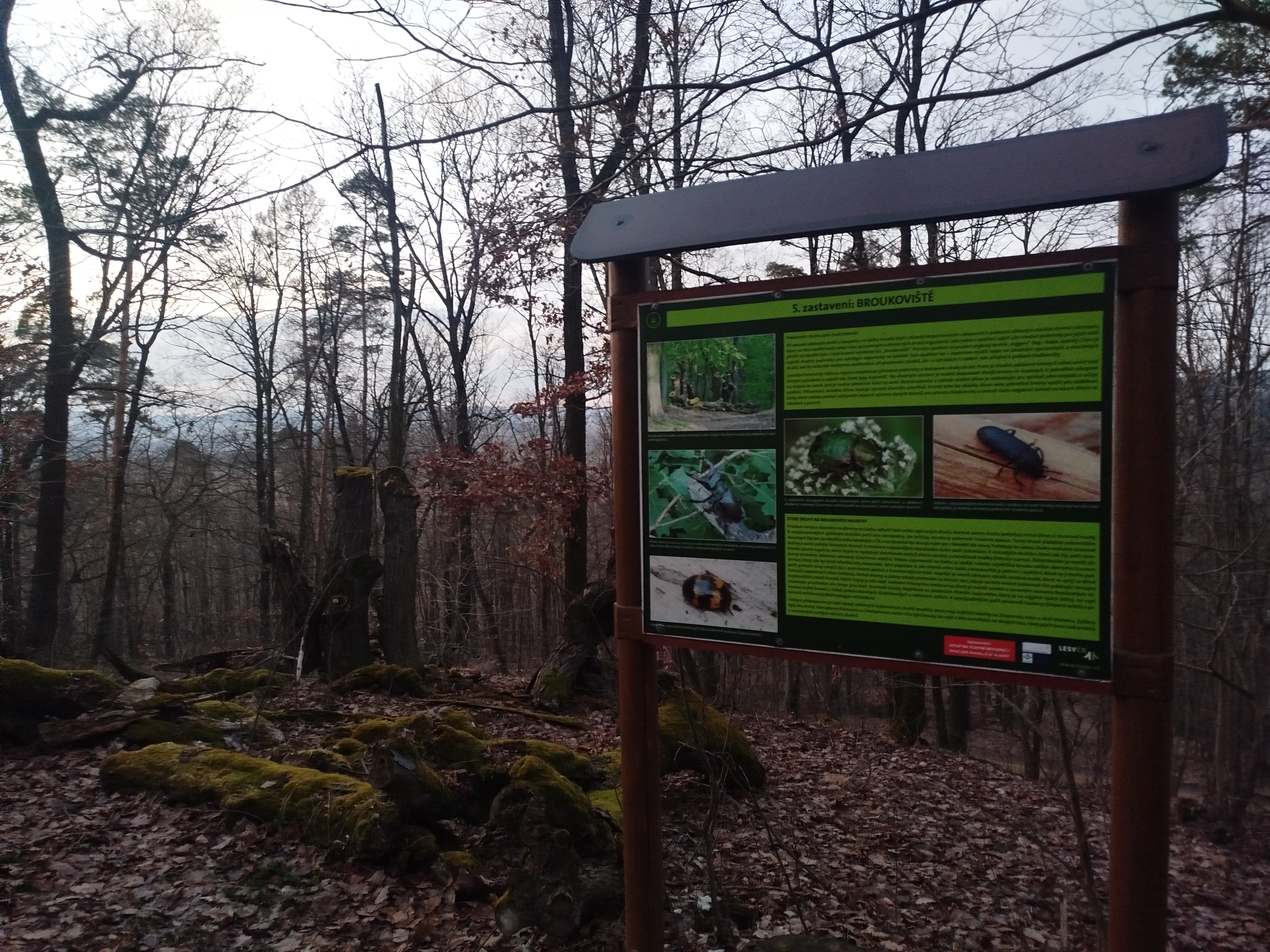 Naučná stezka Lesopark Sádek má sedm zastavení. Naučná stezka Lesopark Sádek má sedm zastavení.