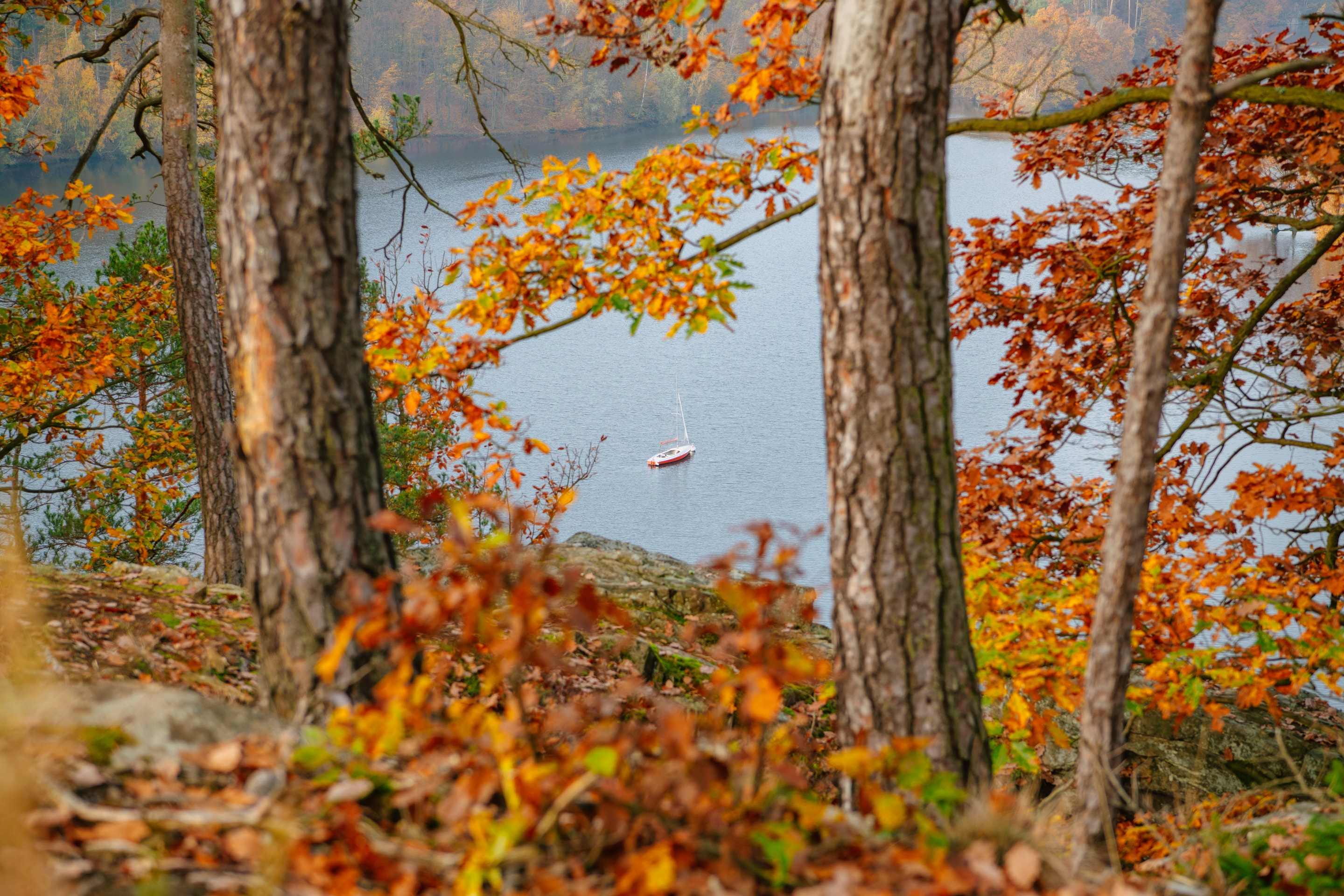 Lesy na březích Dalešické přehrady se na podzim zabarvují do pohádkových tónů. Foto czechvibes. Lesy na březích Dalešické přehrady se na podzim zabarvují do pohádkových tónů. Foto czechvibes.