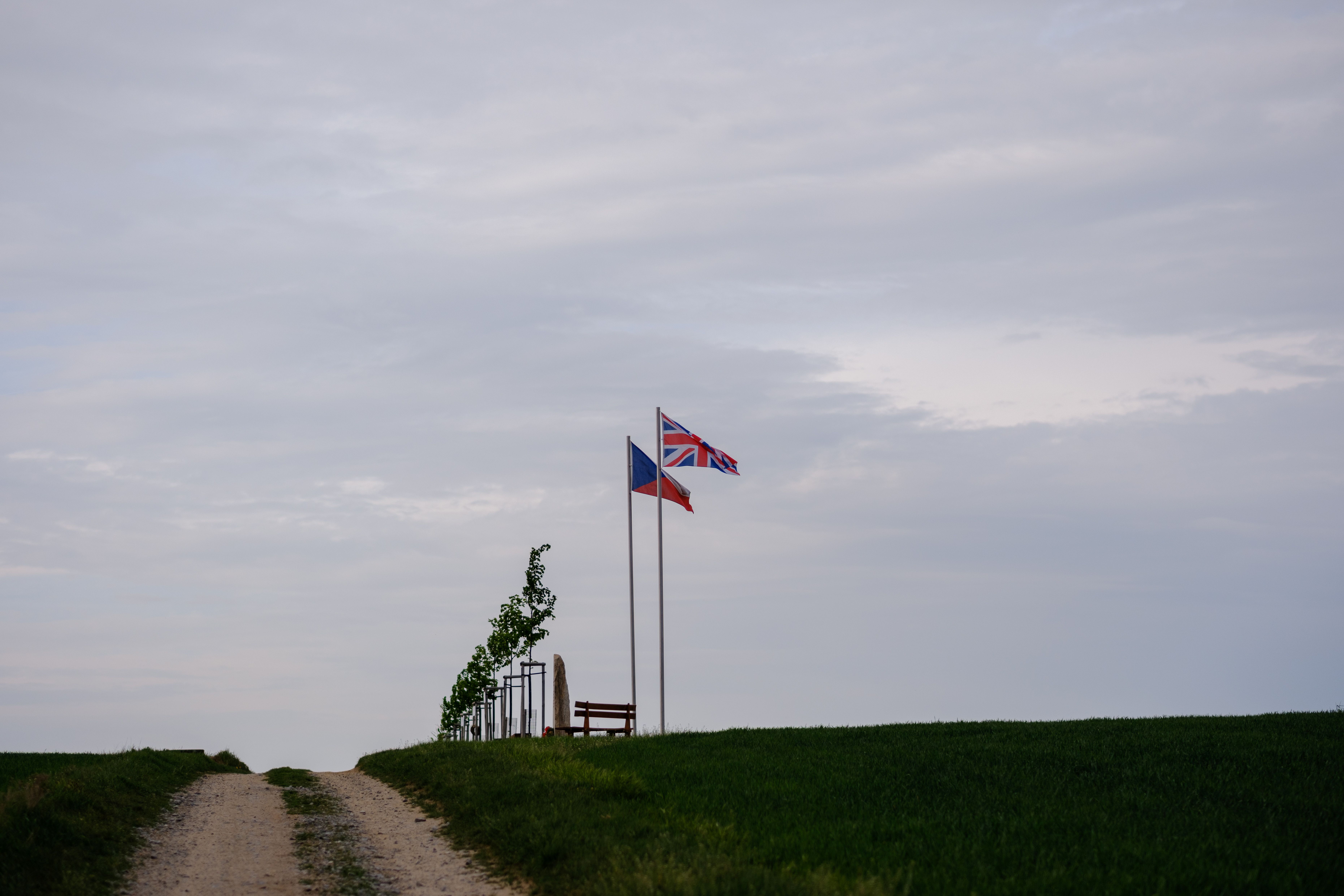 Alej československých parašutistů nedaleko Třebíče. Foto Bára Jahodová. Alej československých parašutistů nedaleko Třebíče. Foto Bára Jahodová.